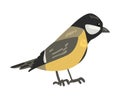 Cute Titmouse Winter Bird, Beautiful Northern Birdie Vector Illustration