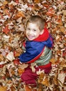 Cute todder boy smiling up after jumping in a pile of orange autumn leaves Royalty Free Stock Photo