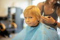 Cute toddler blond boy, having haircut in hairdresser salloon