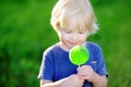 Cute toddler boy with big green lollipop Royalty Free Stock Photo