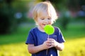 Cute toddler boy with big green lollipop at sunny park Royalty Free Stock Photo