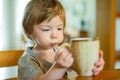 Cute toddler boy drinking decaffeinated coffee at home. Small child drinking hot beverage indoors