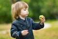 Cute toddler boy eating an apple in apple tree orchard in summer day. Child picking fruits in a garden. Fresh healthy food for Royalty Free Stock Photo