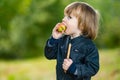 Cute toddler boy eating an apple in apple tree orchard in summer day. Child picking fruits in a garden. Fresh healthy food for Royalty Free Stock Photo