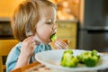 Cute toddler boy eating broccoli. First solid foods. Fresh organic vegetables for infants. Healthy nutrition for the family Royalty Free Stock Photo