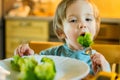 Cute toddler boy eating broccoli. First solid foods. Fresh organic vegetables for infants. Healthy nutrition for the family Royalty Free Stock Photo