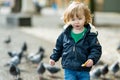 Cute toddler boy feeding pigeons on narrow street of Bergamo. Little child having fun exploring in Citta Alta, upper district of Royalty Free Stock Photo