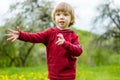 Cute toddler boy having fun in blossoming apple orchard on warm spring day. Active little boy picking flowers in city park Royalty Free Stock Photo