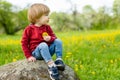 Cute toddler boy having fun in blossoming apple orchard on warm spring day. Active little boy picking flowers in city park Royalty Free Stock Photo