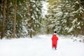 Cute toddler boy having fun on a walk in snow covered pine forest on chilly winter day. Child exploring nature. Winter activities Royalty Free Stock Photo