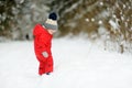 Cute toddler boy having fun on a walk in snow covered pine forest on chilly winter day. Child exploring nature. Winter activities Royalty Free Stock Photo