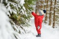 Cute toddler boy having fun on a walk in snow covered pine forest on chilly winter day. Child exploring nature. Winter activities Royalty Free Stock Photo