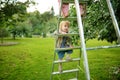 Cute toddler boy helping to harvest apples in apple tree orchard in summer day. Child picking fruits in a garden. Fresh healthy Royalty Free Stock Photo