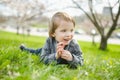 Cute toddler boy playing in blooming cherry tree garden on beautiful spring day. Adorable baby having fun outdoors Royalty Free Stock Photo