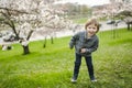 Cute toddler boy playing in blooming cherry tree garden on beautiful spring day. Adorable baby having fun outdoors Royalty Free Stock Photo