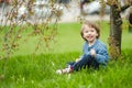 Cute toddler boy playing in blooming cherry tree garden on beautiful spring day. Adorable baby having fun outdoors Royalty Free Stock Photo