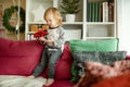 Cute toddler boy playing with red toy car. Small child having fun with toys. Kid spending time in a cozy living room at home Royalty Free Stock Photo