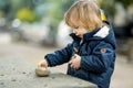 Cute toddler boy playing with rocks and pebbles in Bergamo. Little child having fun exploring in Citta Alta, upper district of Royalty Free Stock Photo