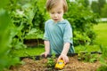 Cute toddler boy playing with yellow toy car outdoors. Kid exploring nature. Small child having fun with toys Royalty Free Stock Photo