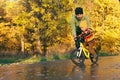 Cute toddler boy practicing cycling. Father teaches his little kid to ride bike in autumn park. Happy family moments. Time Royalty Free Stock Photo