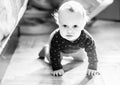Cute toddler boy in a room posing Royalty Free Stock Photo