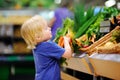 Cute toddler boy in supermarket choosing fresh organic carrots Royalty Free Stock Photo