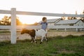 Cute toddler boy two or three years old standing near a goat on a farm. Royalty Free Stock Photo