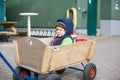 Cute toddler boy of two years in wooden trolley in autumn clothe Royalty Free Stock Photo