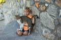 Cute toddler child, boy, playing with cat on the rocks on the beach, summertime Royalty Free Stock Photo