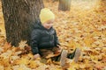 Cute toddler child boy sitting near huge maple tree in autumn park. Fall nature banner with copy space Royalty Free Stock Photo