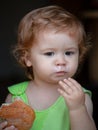 Cute toddler child eating sandwich, self feeding concept. Royalty Free Stock Photo