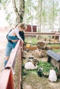 Cute toddler child girl and her mother feeding rabits sitting in cage at the zoo or animal farm Royalty Free Stock Photo
