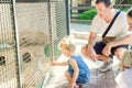 Cute toddler child girl and her parents feeding rabbits sitting in cage at the zoo or animal farm. Outdoor fun for kids. Family re Royalty Free Stock Photo