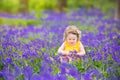 Cute toddler girl in bluebell flowers in spring Royalty Free Stock Photo