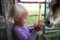 Cute Toddler Girl Petting Horse in Barn