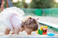 Cute toddler girl playing in sand on outdoor playground. Royalty Free Stock Photo