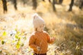 Adorable little girl discovering nature at the autumn forest, sunny day. Royalty Free Stock Photo