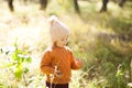 Adorable little girl discovering nature at the autumn forest, sunny day. Royalty Free Stock Photo