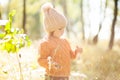 Adorable little girl discovering nature at the autumn forest, sunny day. Royalty Free Stock Photo