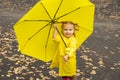 Cute toddler girl wearing yellow stylish raincoat pink rubber boots standing with umbrella. Royalty Free Stock Photo