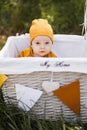 Cute toddler sitting inside decorated wicker basket outdoors