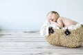 Cute toddler sleeping in a wicker basket Royalty Free Stock Photo