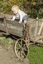 Cute toddler in waggon