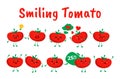 Cute tomato character badges set vector flat illustration. Funny red seasonal ripe vegetables