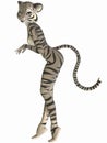 Cute Toon Figure - White Tiger