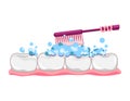 Cute tooth with toothbrush and toothpaste. Brushing clean teeth. Dental kids care. Denture in gums. Vector modern flat