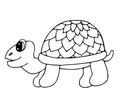 Cute tortoise isolated on the white background Royalty Free Stock Photo