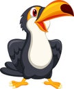 Cute toucan bird cartoon Royalty Free Stock Photo