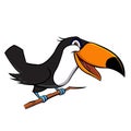 Cute toucan bird cartoon Royalty Free Stock Photo