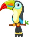 Cute toucan bird cartoon